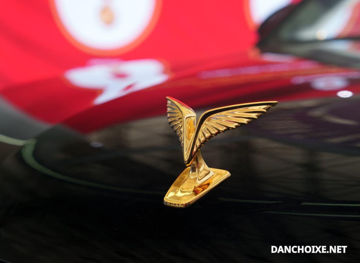 Lac Hong chứng minh năng lực phát triển sản phẩm và công nghệ của doanh nghiệp Việt trong lĩnh vực xe điện.